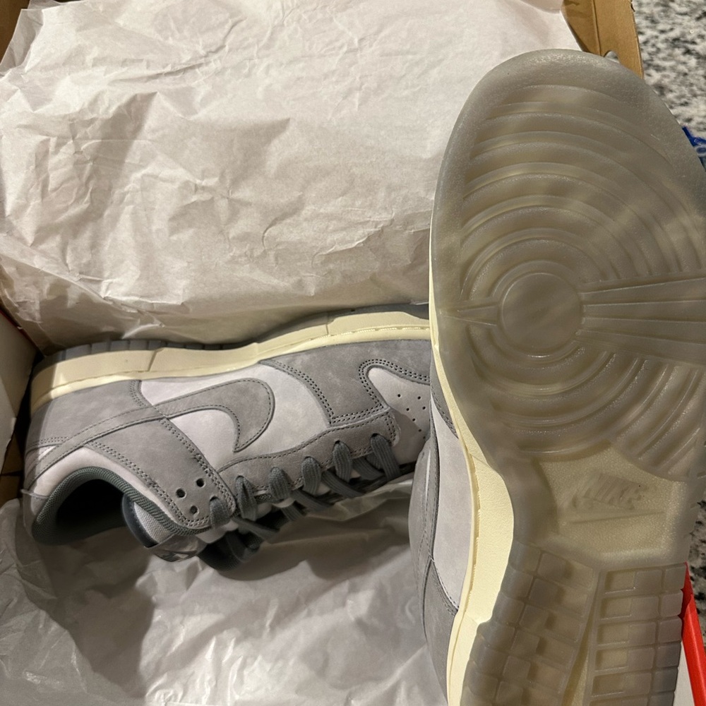 Brand new Nike dunk low.